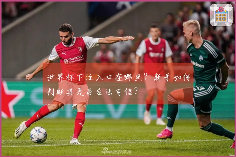 世界杯下注入口在哪里？新手如何判断其是否合法可信？