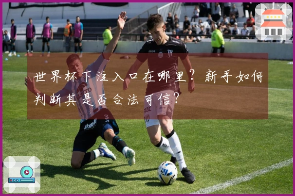 世界杯下注入口在哪里？新手如何判断其是否合法可信？