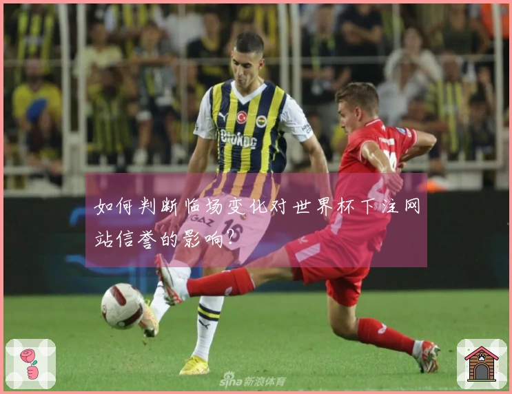 如何判断临场变化对世界杯下注网站信誉的影响？