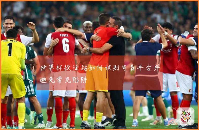 世界杯投注站如何识别可靠平台并避免常见陷阱