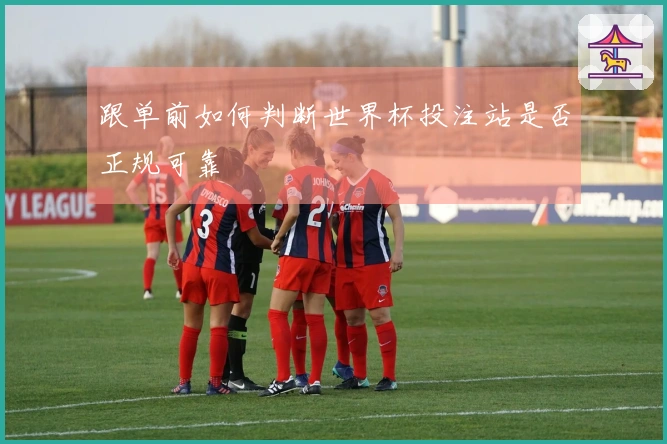跟单前如何判断世界杯投注站是否正规可靠