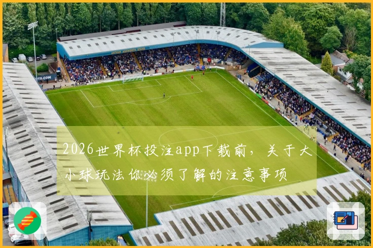 2026世界杯投注app下载前，关于大小球玩法你必须了解的注意事项